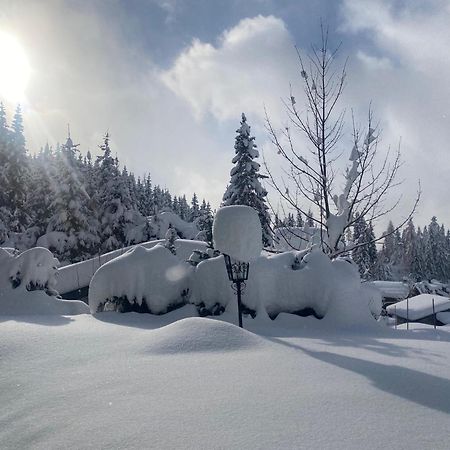 Appartementhaus Hochkoenig - Panoramablick Mühlbach am Hochkönig Esterno foto