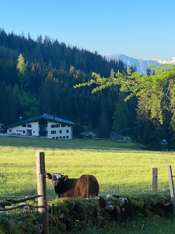 Appartementhaus Hochkoenig - Panoramablick Mühlbach am Hochkönig Esterno foto