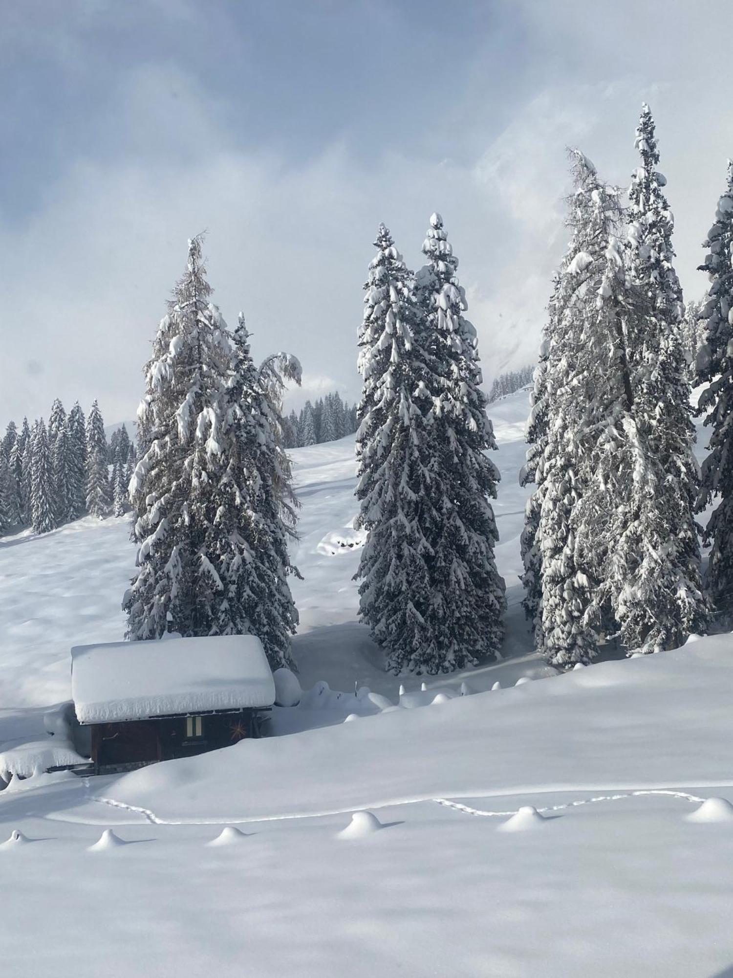 Appartementhaus Hochkoenig - Panoramablick Mühlbach am Hochkönig Esterno foto