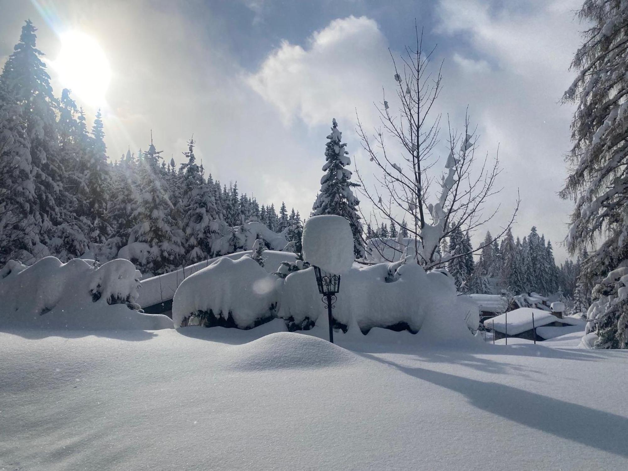 Appartementhaus Hochkoenig - Panoramablick Mühlbach am Hochkönig Esterno foto